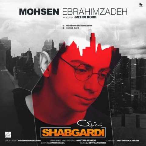 Mohsen Ebrahimzadeh Shabgardi